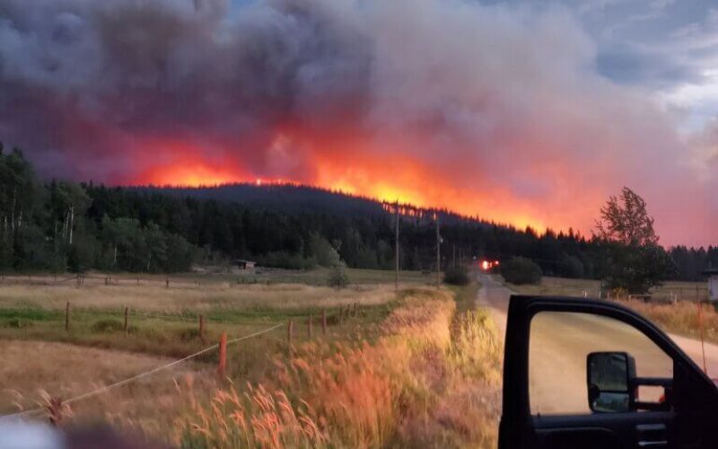 Une photo du feu de forêt du mont Law de 2021 à West Kelowna, en Colombie-Britannique, prise de l’arrière d’un véhicule de patrouille.